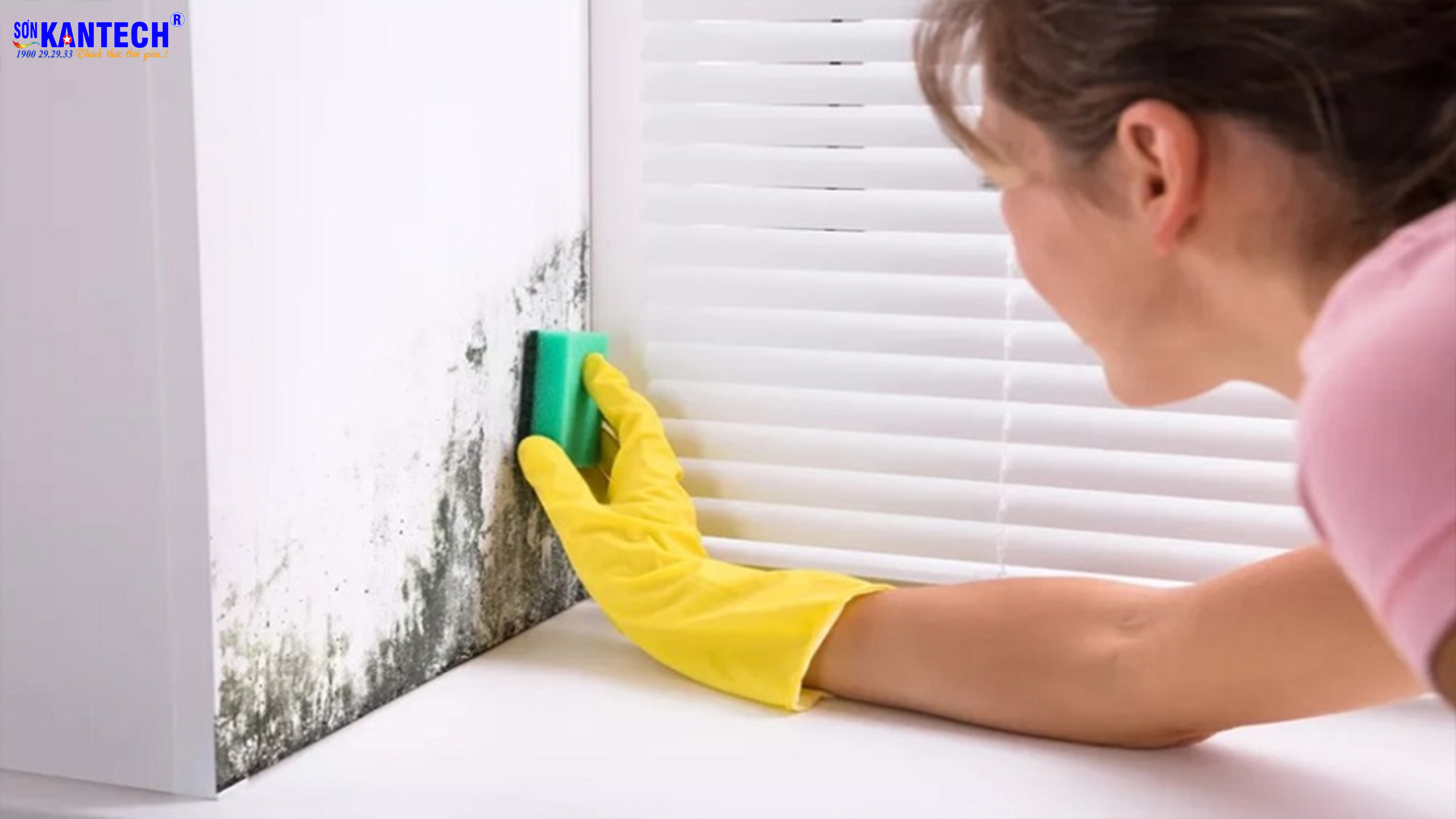 Cách làm sạch tường nhà bị bẩn nhanh và đơn giản nhất